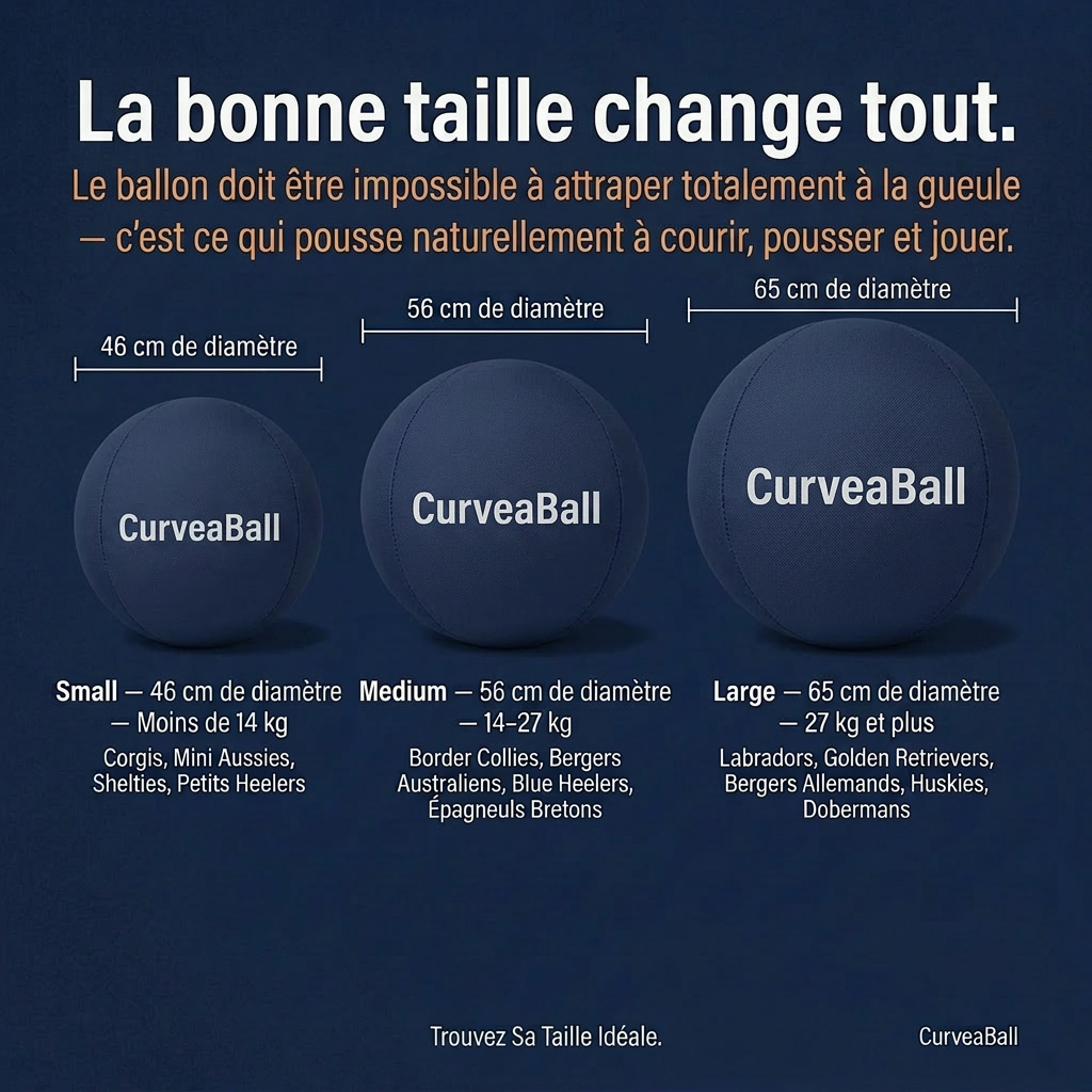 CurveaBall - Balle Interactive Ultra-Résistante