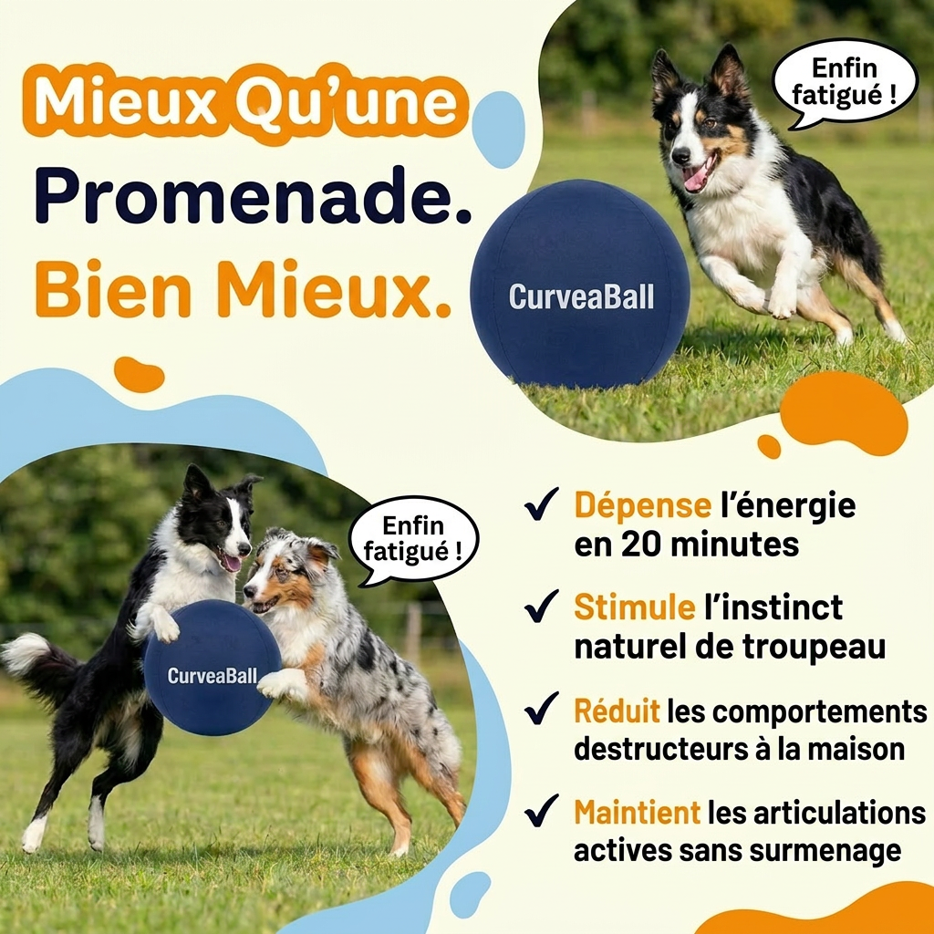 Curvea Dog Ball