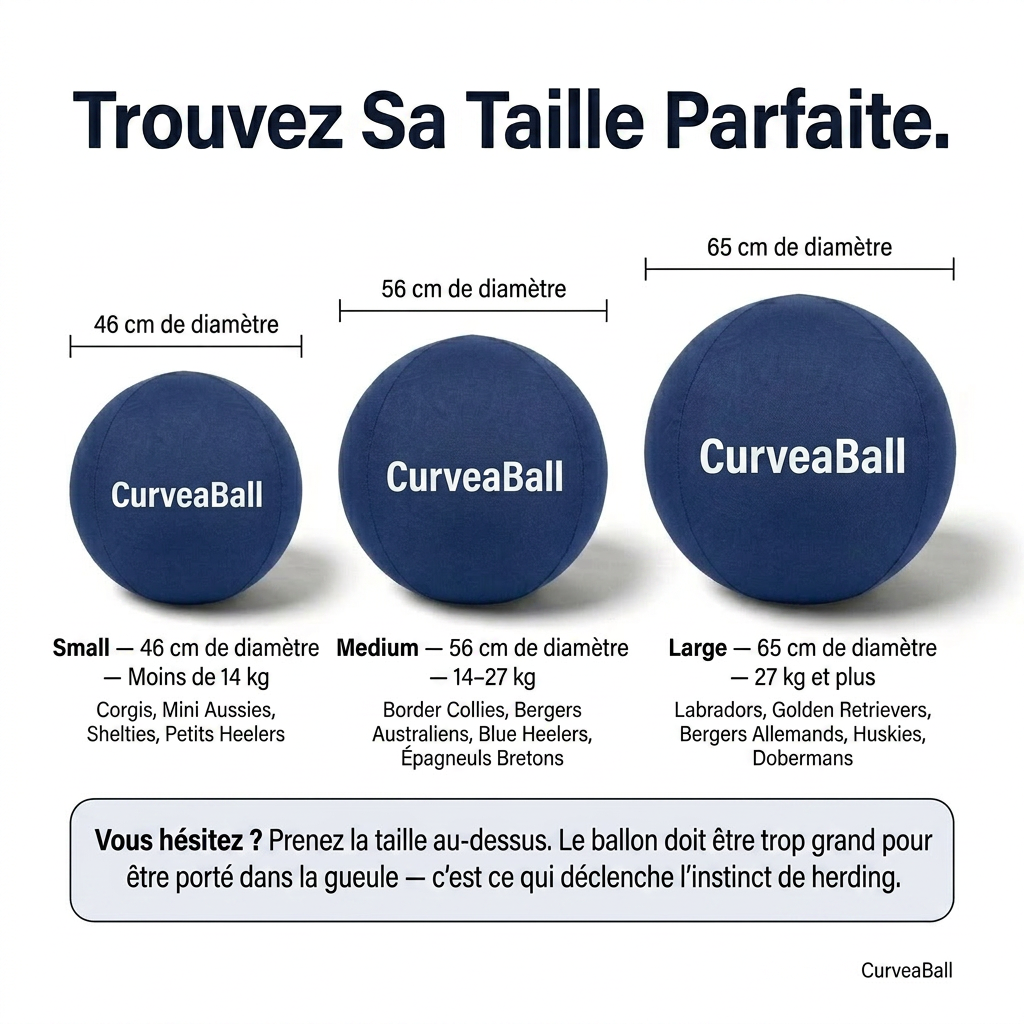 Curvea Dog Ball