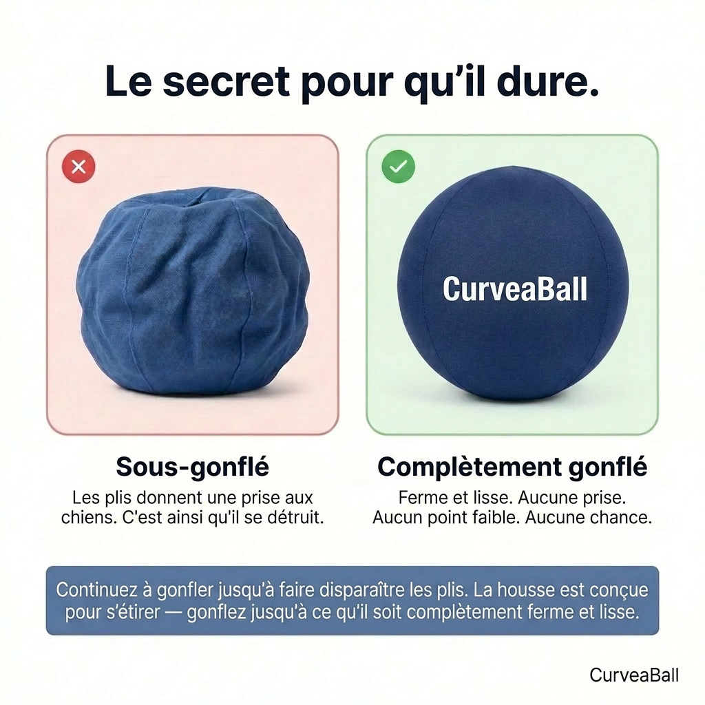 Curvea Dog Ball