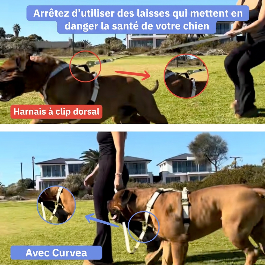 Harnais Anti-Traction Curvea